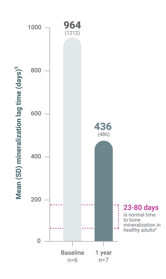 Mineralization Lag Time Adults